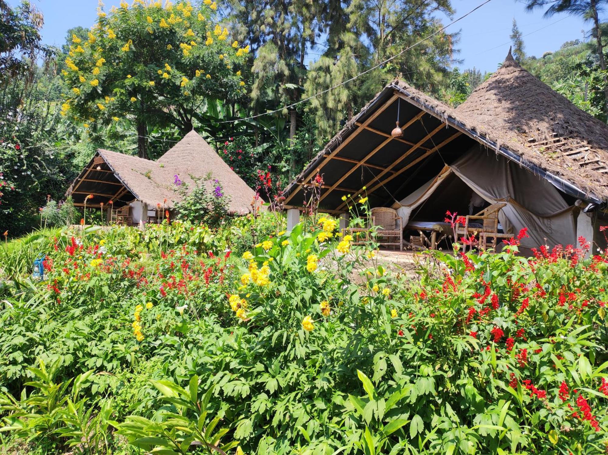 Inzu Lodge ギセニ エクステリア 写真